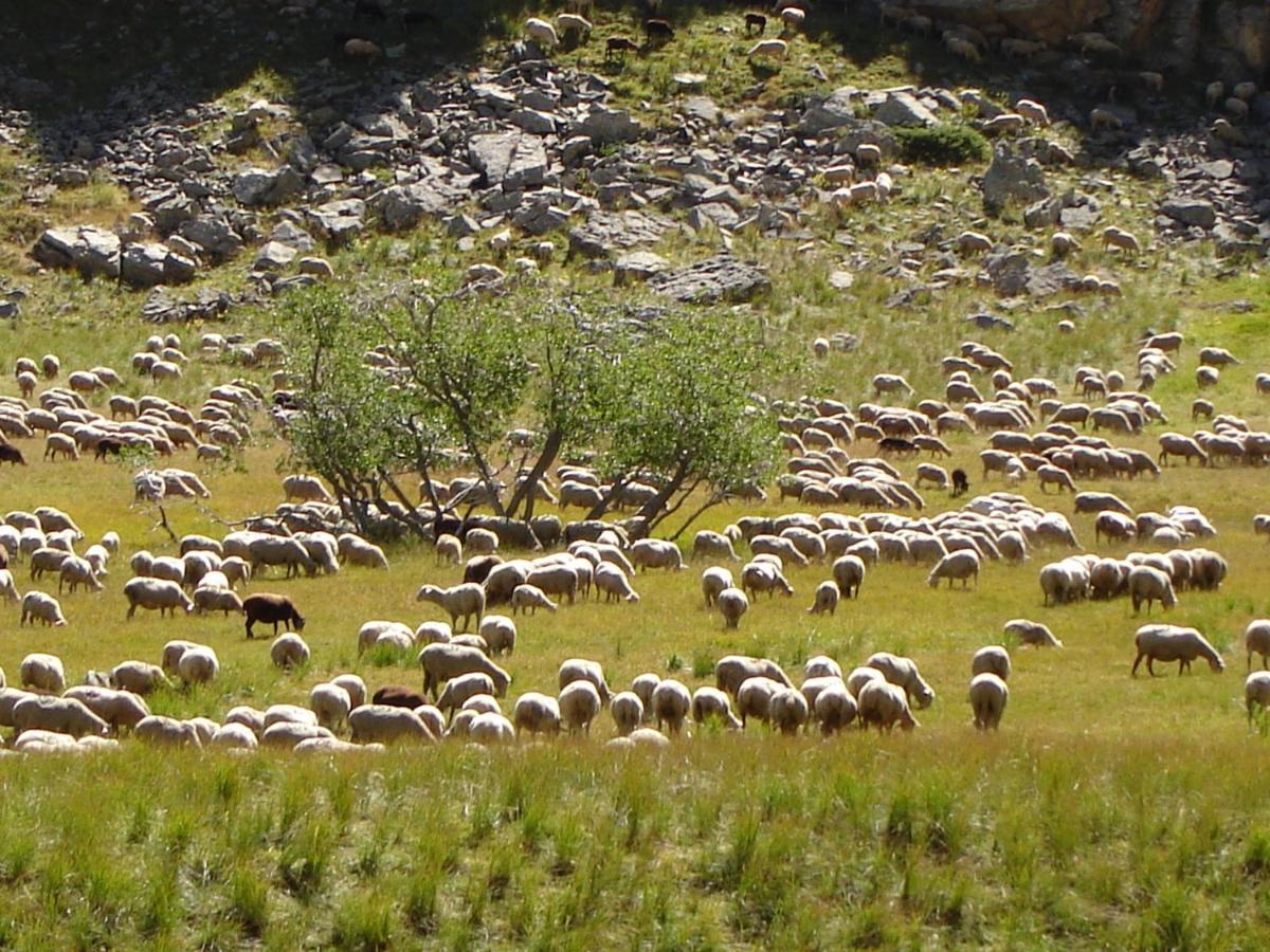 La Petite Etoile D'hotes En Mercantour Saint-Dalmas-le-Selvage